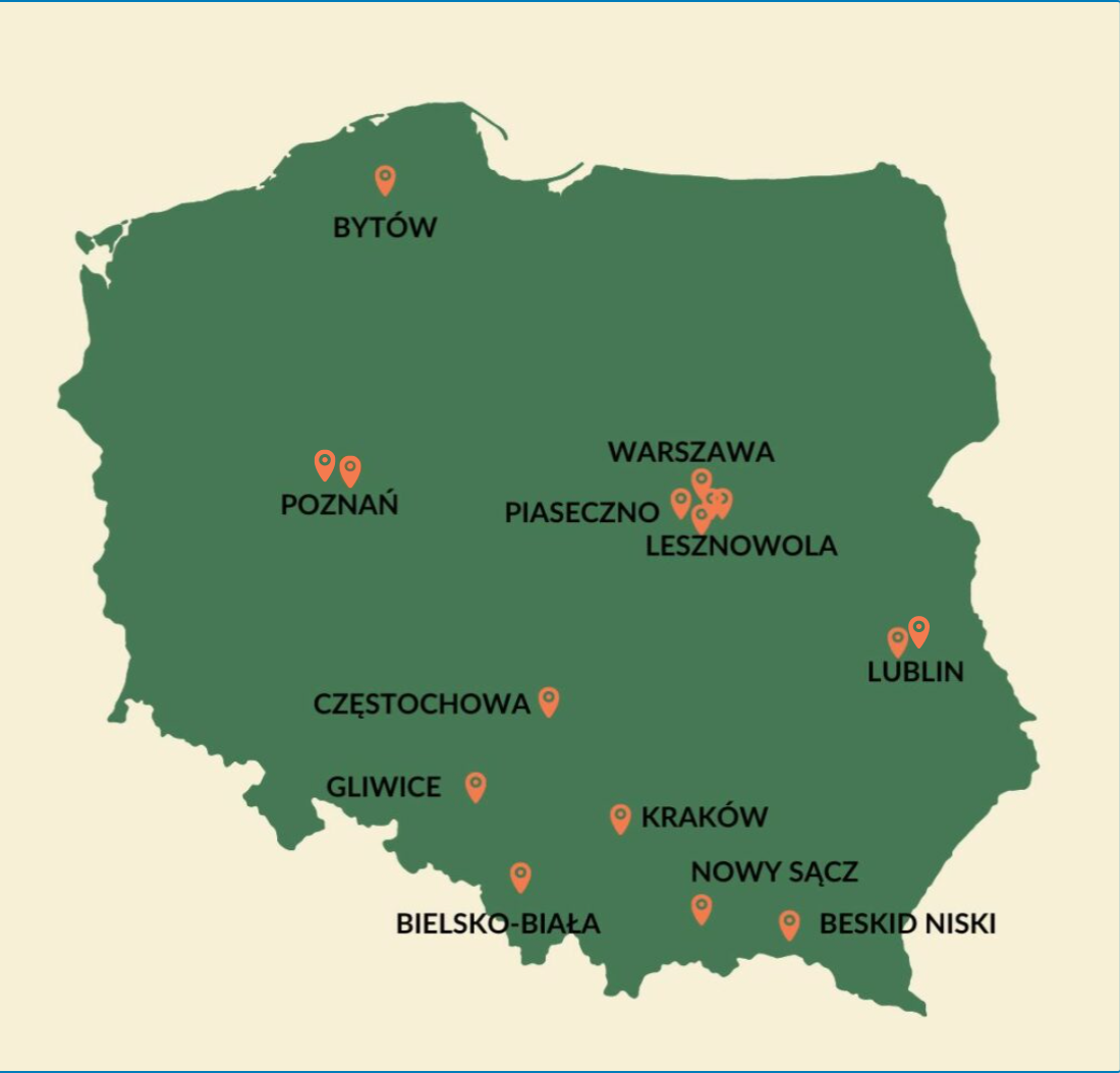 Projekt-bez-nazwy-1.png